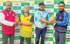 Veteran Cricket Veteran Cricket