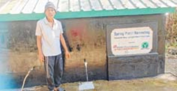 Forest conservation pays dividends