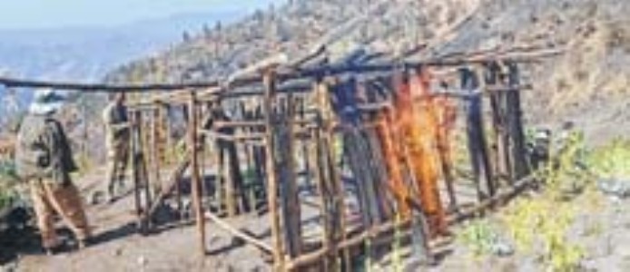 Poppy fields destroyed at Ukhrul