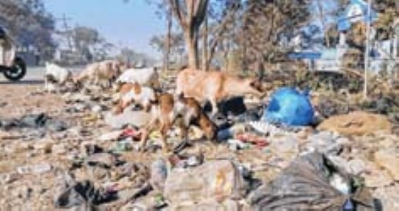 Smart City without waste policy ? Imphal’s vision rings hollow