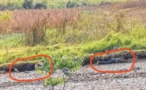 Kuki militants pin down mother-child with relentless firing, safely rescued later