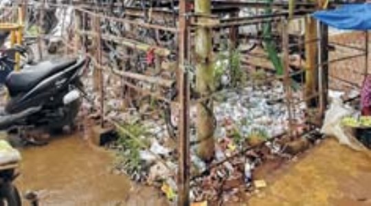 Discarded bottles adorn enclosure at BT Road