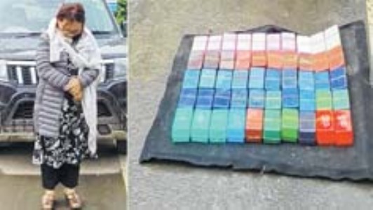CCpur woman held with drugs worth Rs 1.17 crore