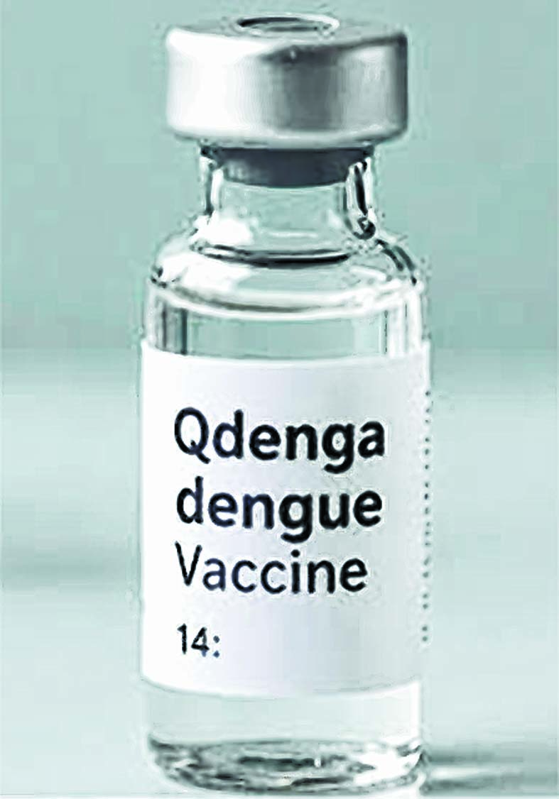 Dengue vaccine Dengue vaccine