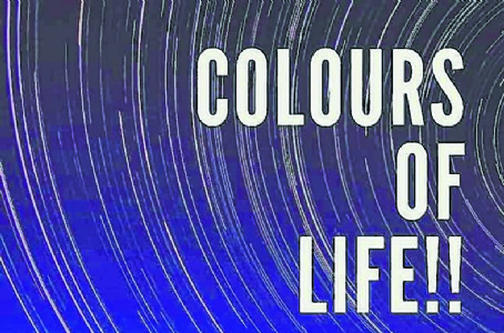The colors of life: A story of love, laughter, and society