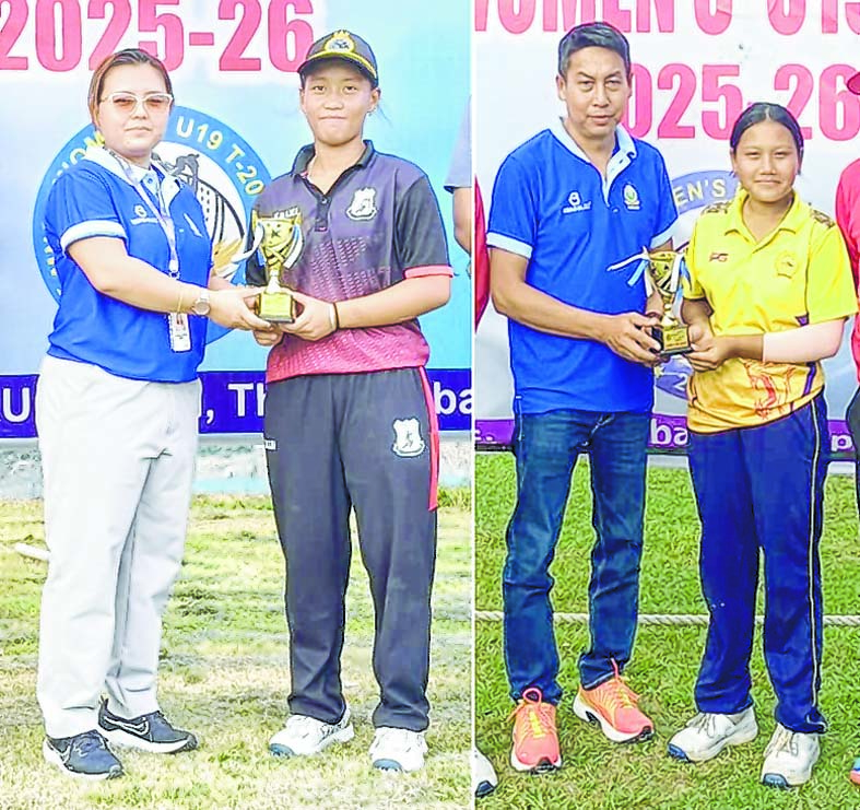 Cricket Cricket