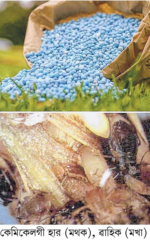 Ea Ia º Oa Sav U A A A A T T A A S Gsai