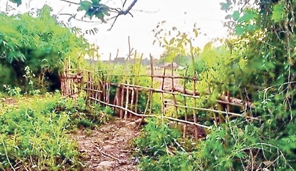 front photo front photo