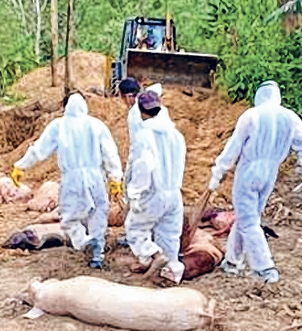 front photo front photo