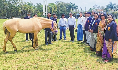 front photo front photo