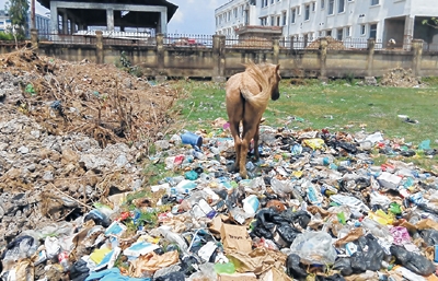 front photo front photo