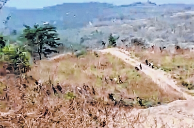 front photo front photo